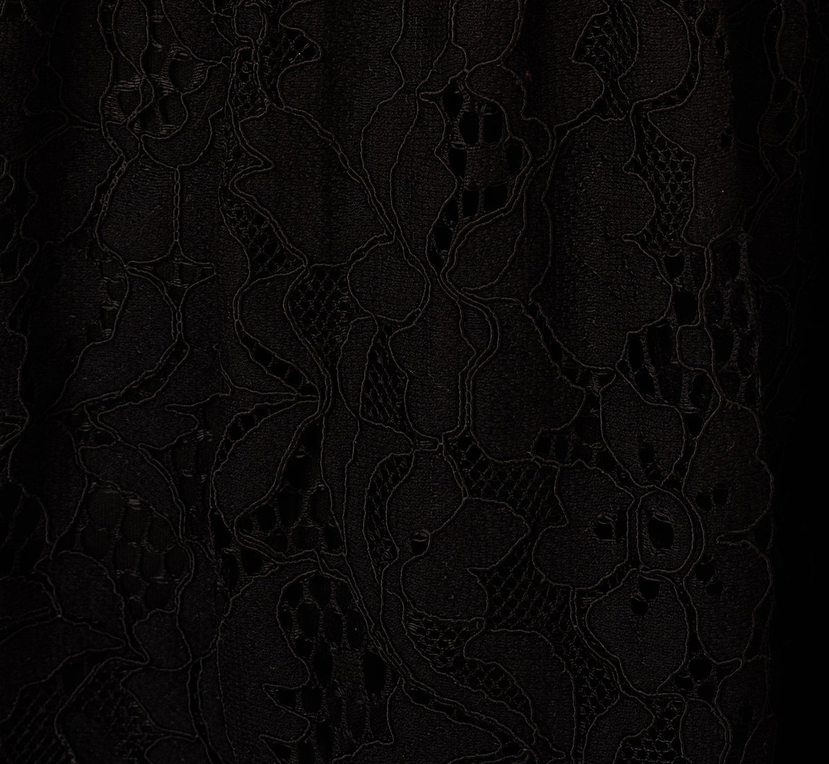 Sleeveless Collared Lace Fit And Flare Dress - Black | Adrianna Papell