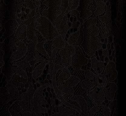 Sleeveless Collared Lace Fit And Flare Dress - Black | Adrianna Papell