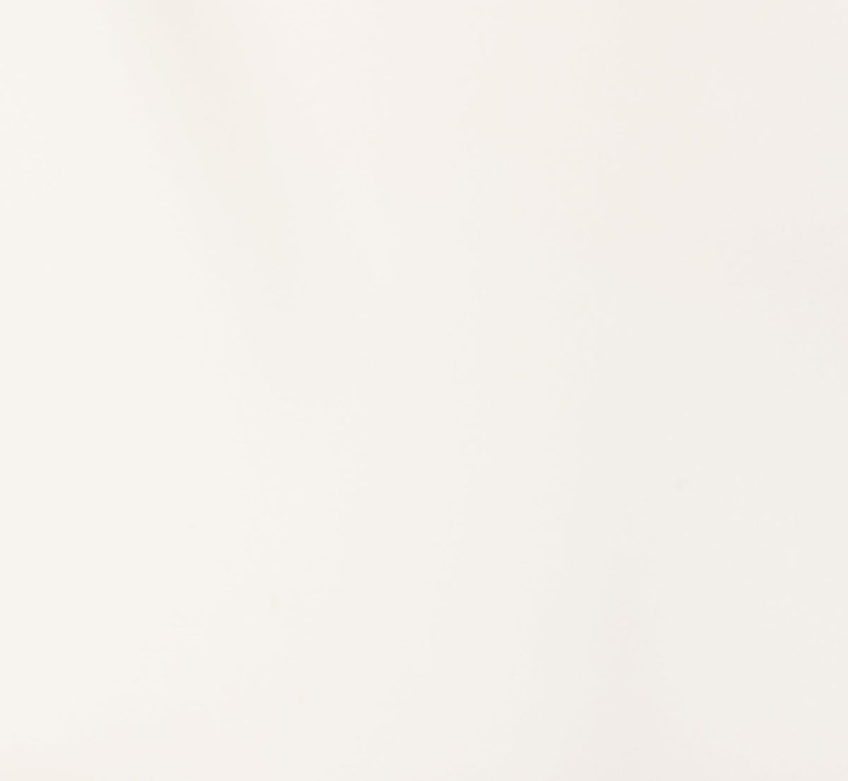 Long Sleeve Lace Trim Drawstring Hem Blouse - Ivory | Adrianna Papell