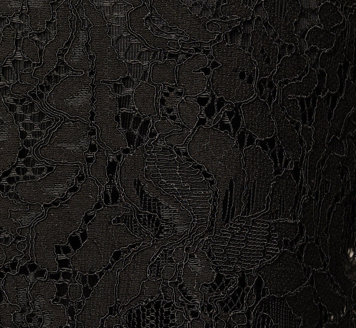 Long Sleeve Satin Trim Sheer Lace Blouse - Black | Adrianna Papell